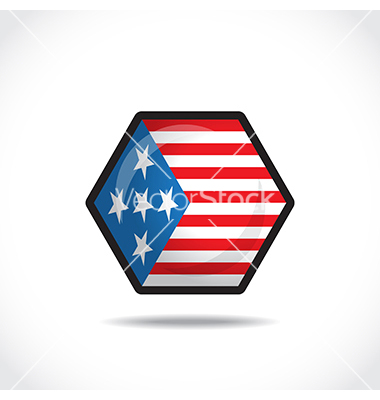 USA Flag Icon Vector USA Flag Icon Vector