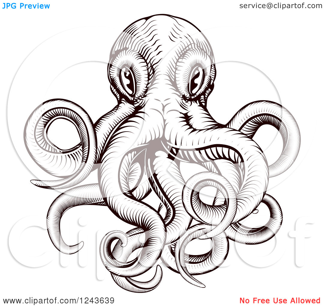 Vintage Octopus Illustration