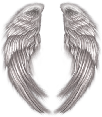 Angel Wings PSD