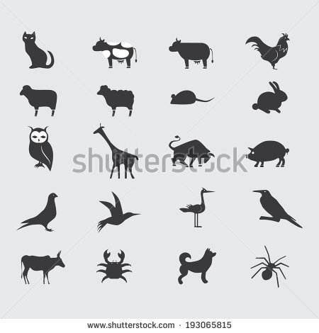 Animal Icons Vector