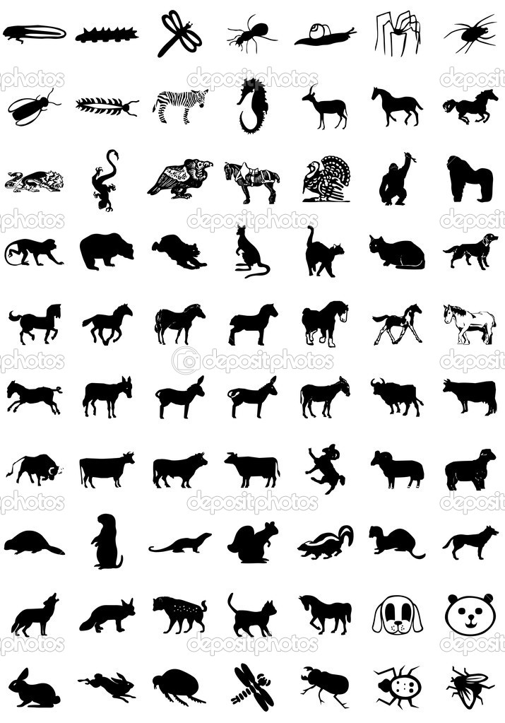 Animal Icons