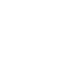 Behance Icon White