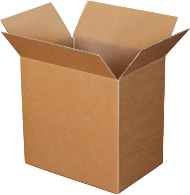 Blank Carton Box