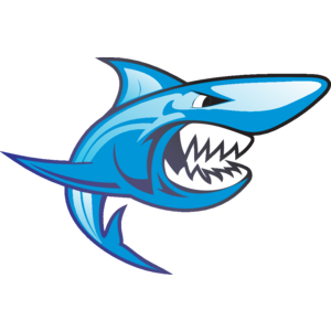 Cartoon Shark Logo