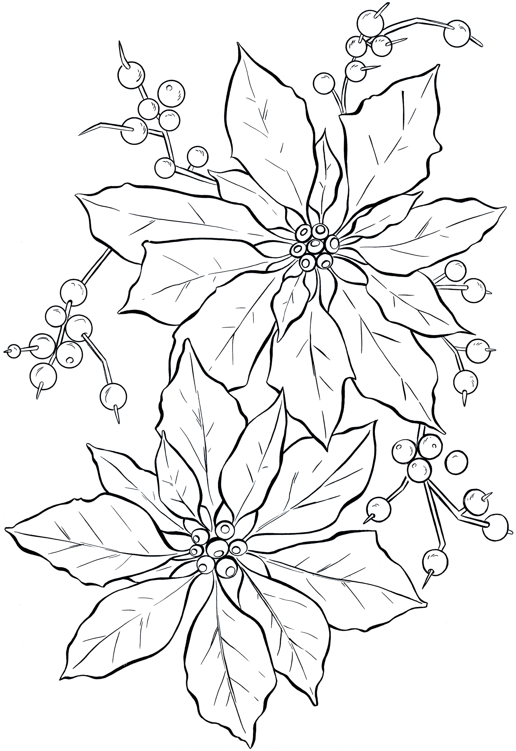 Christmas Poinsettia Line Art