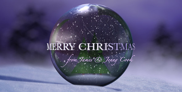 Christmas Snow Globe