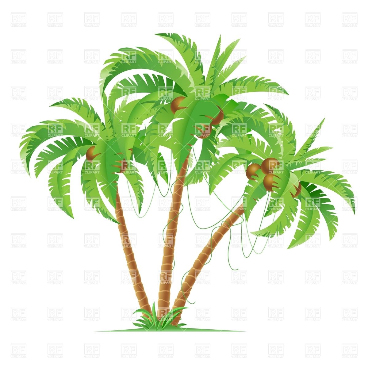 Coconut Palm Tree Cartoon Clip Art