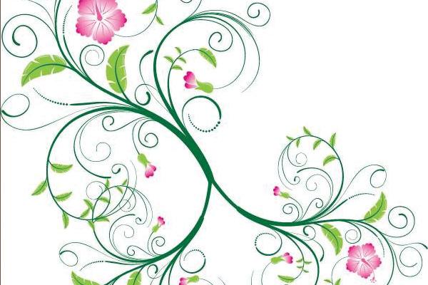 Design Graphic Vector Line Art