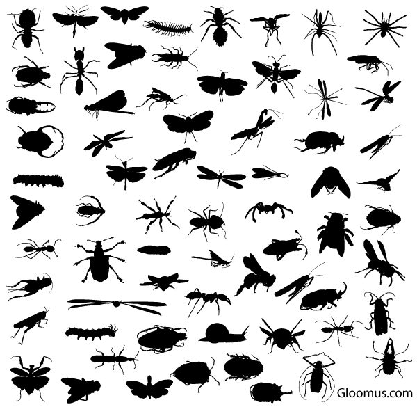 8 Insect Silhouettes Vector Free Images