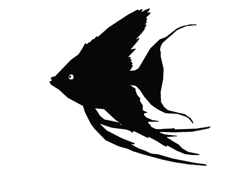 11 Fish Silhouette Vector Images