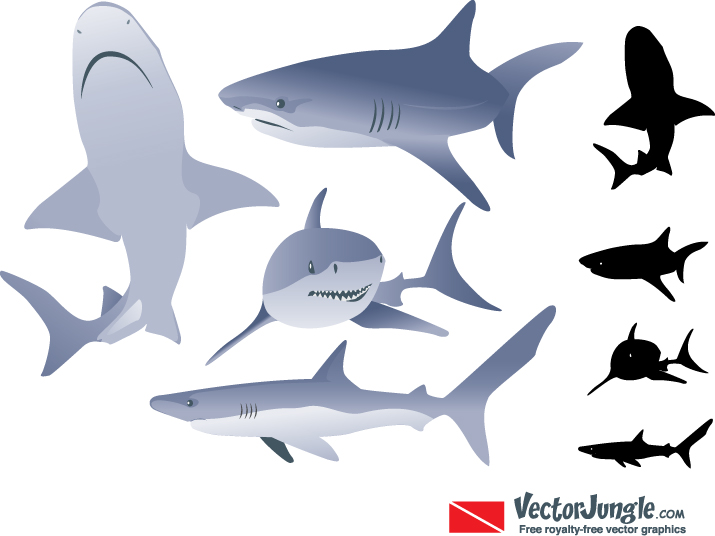Free Shark Vector Art Free Shark Vector Art