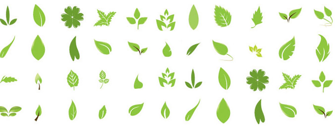 Free Vector Leaves