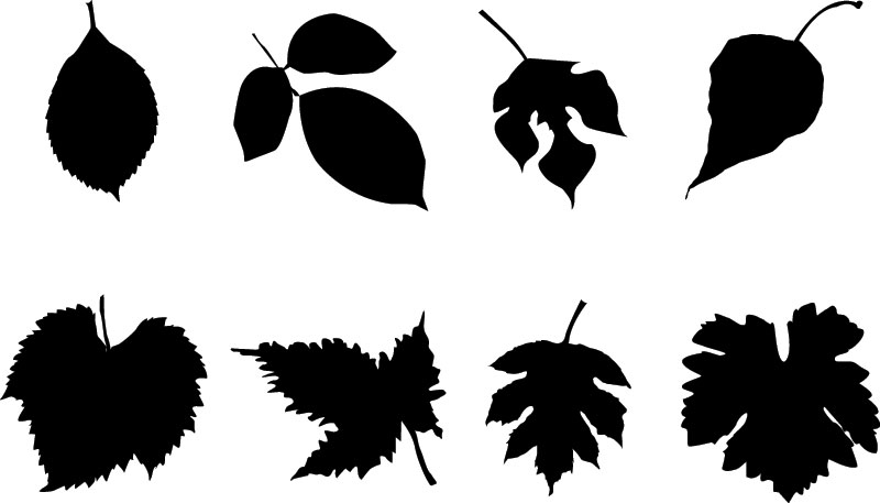 Free Vector Leaves