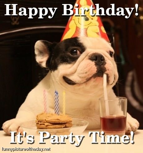 Funny Happy Birthday Dog Party