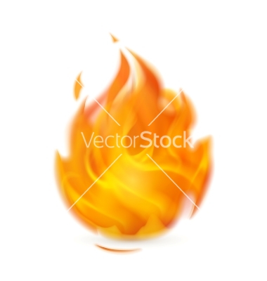 Icon Fire Vector