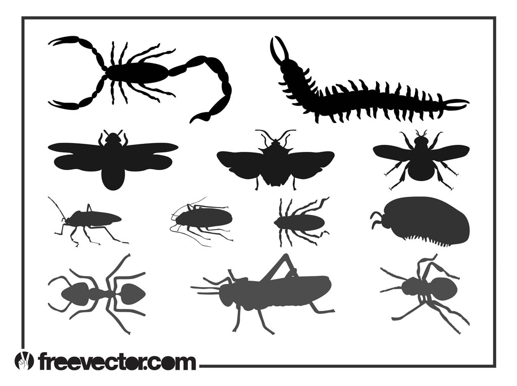 Insect Silhouette Clip Art