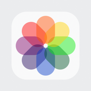 iPhone Camera Roll Icon
