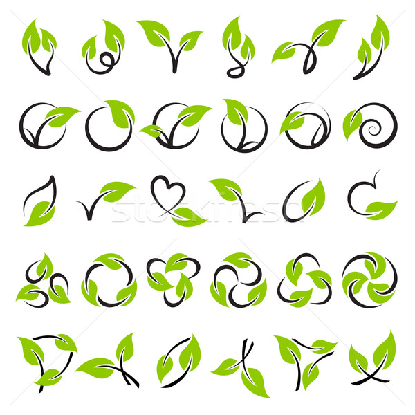 Leaf Logo Template