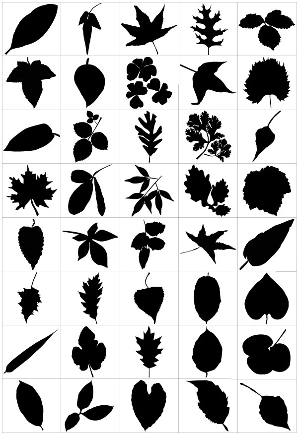 Leaf Silhouette Vector Free