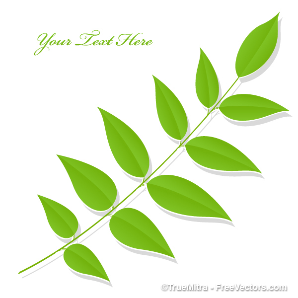 Leaf Vector