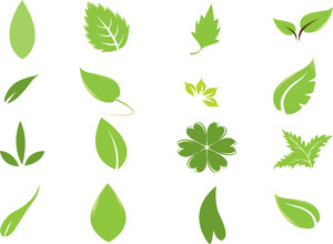 Leaves Free Vector Graphics