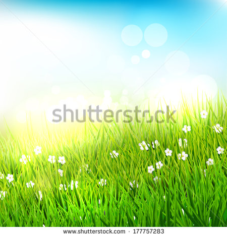 Meadows with Tall Grass