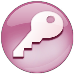 Microsoft Access 2007 Icon
