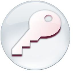 Microsoft Access 2007 Icon