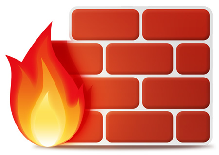 Network Firewall Icon