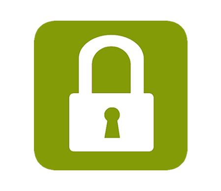 Network Security Icon Network Security Icon