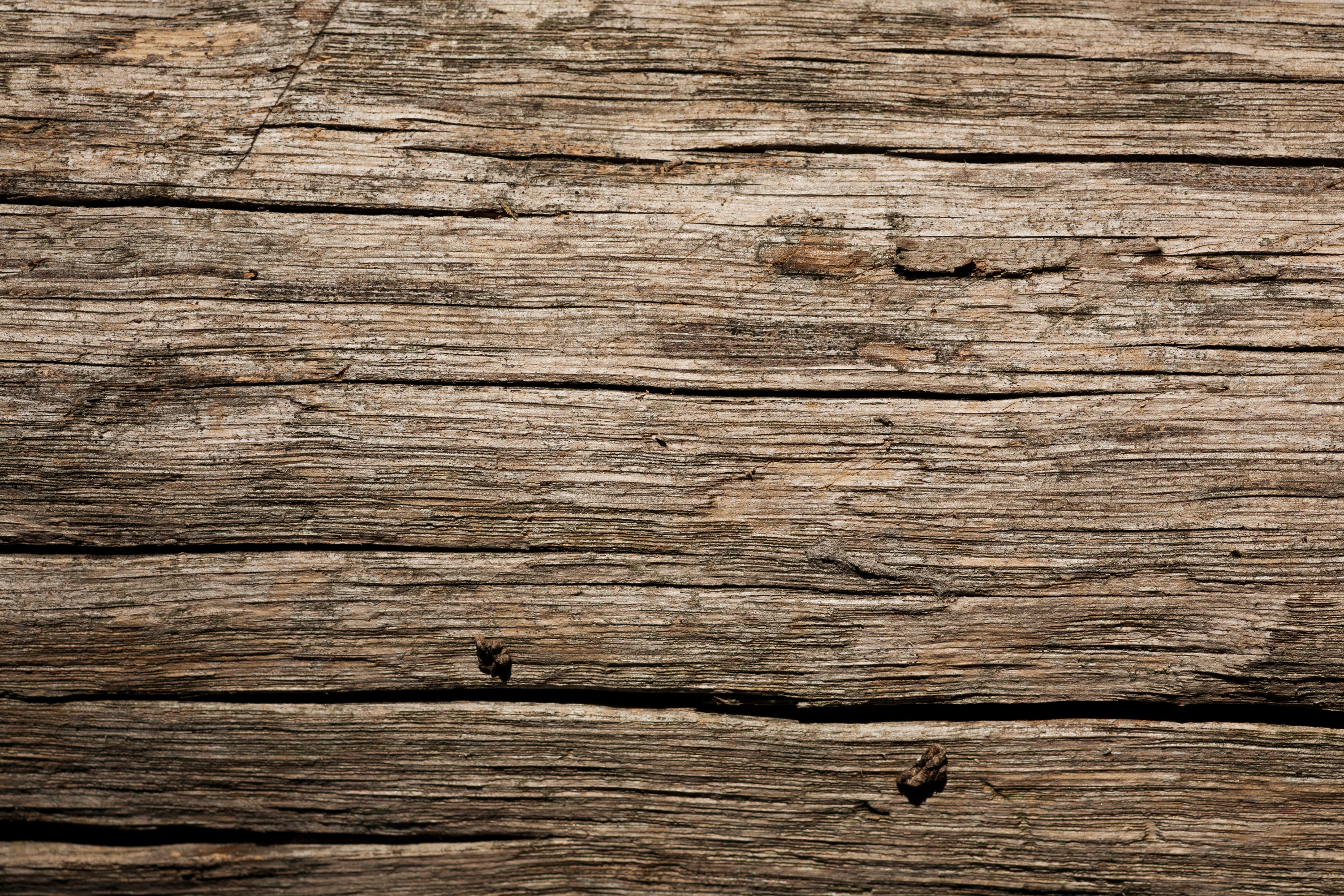 Old Wood Texture