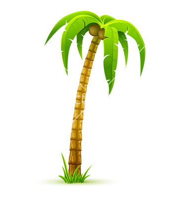 Palm Tree Vector Art