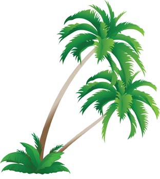 Palm Tree Vector