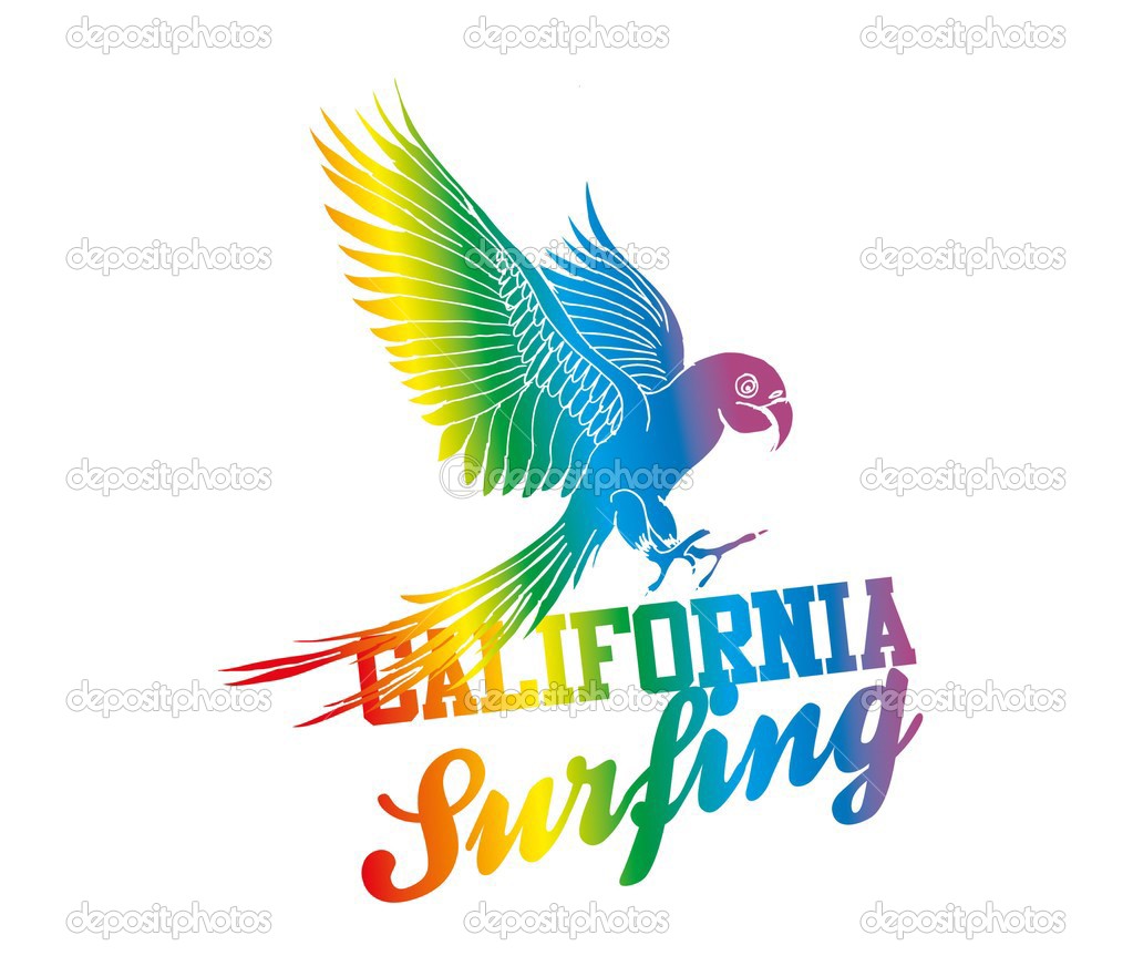 Parrot Vector Art Beach