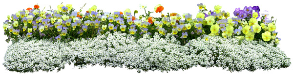 Photoshop Bushes with Flowers