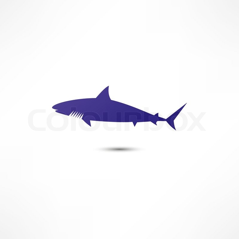 Shark Icon Vector Shark Icon Vector