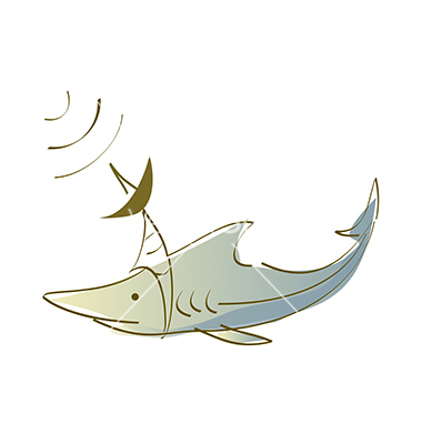Shark Vector