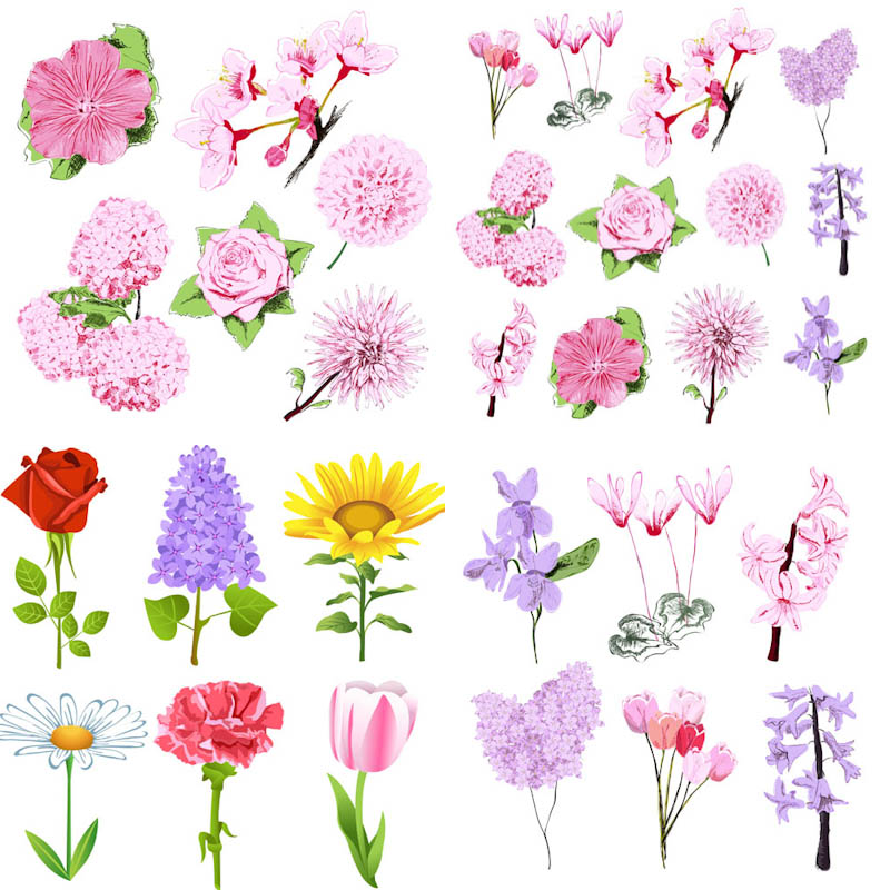 Spring Flowers Vector Spring Flowers Vector