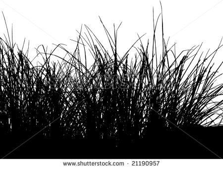 Tall Grass Silhouette Vector