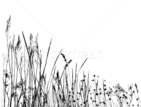 Tall Grass Silhouette Vector