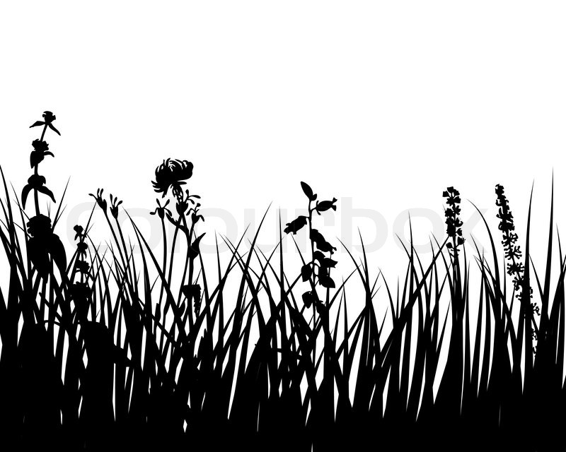 Tall Grass Silhouette Vector