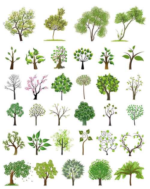 Tree Illustration Vector Art