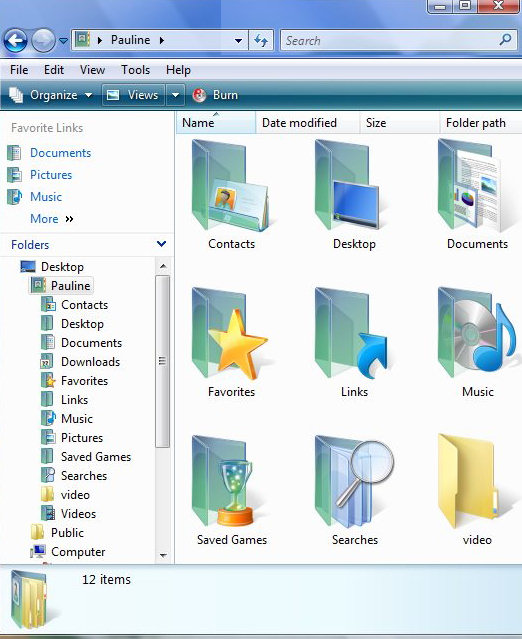 Windows 7 User Folder Icon