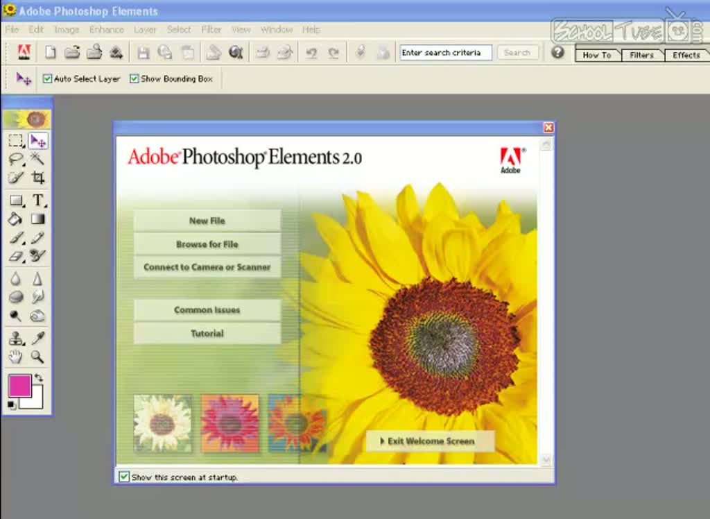 Adobe Photoshop Elements 2.0 Setup Free