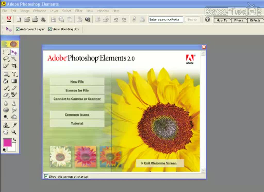 Adobe Photoshop Elements 2.0 setup free