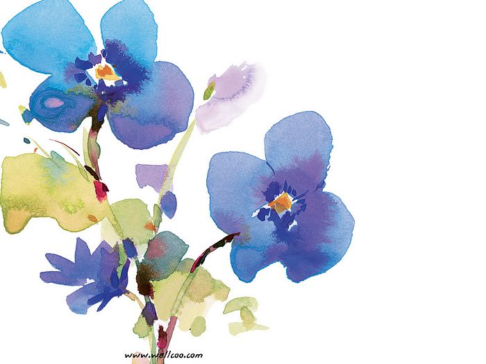 Beautiful Watercolor Flower Paintings