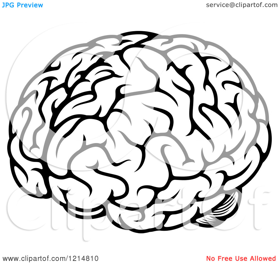 Black and White Human Brain