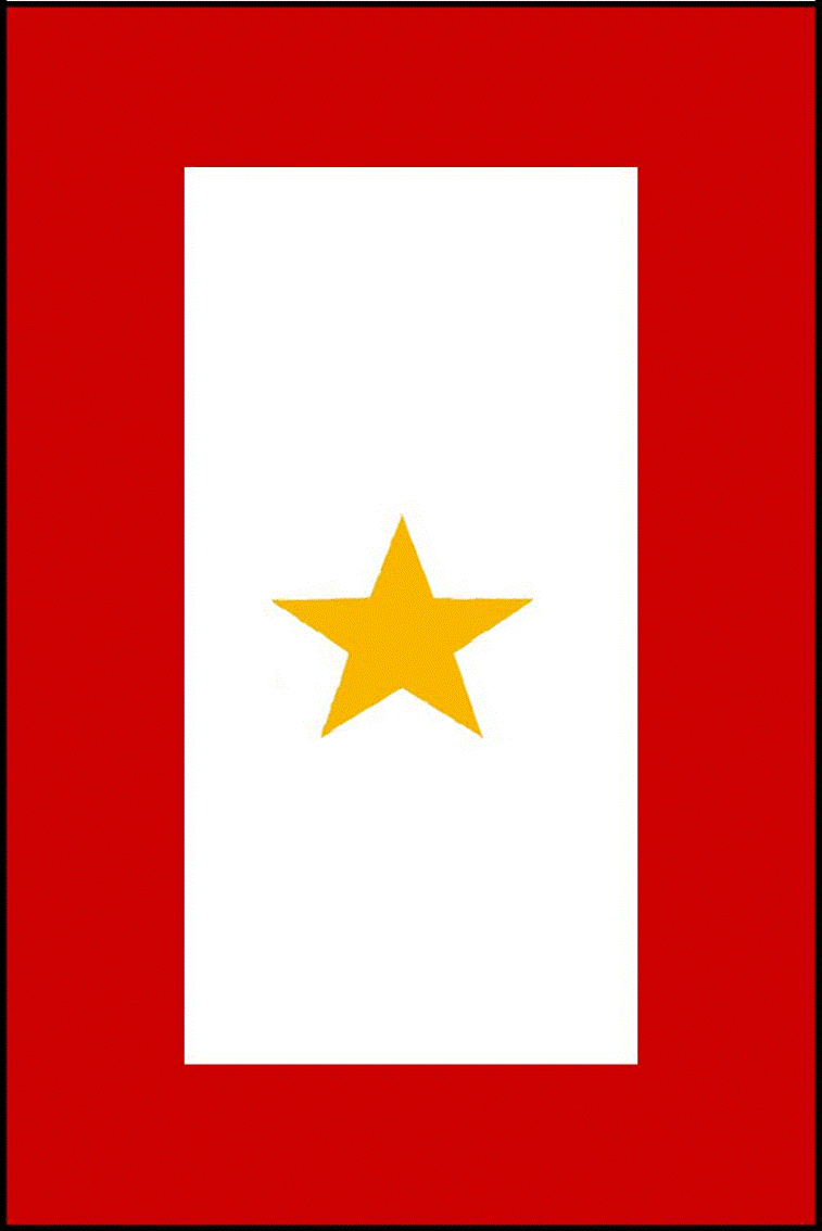 Blue Star Service Flag