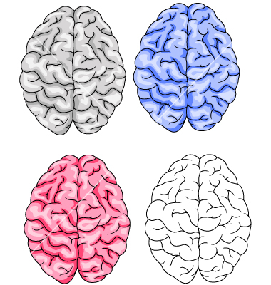 Brain Vector Illustrations