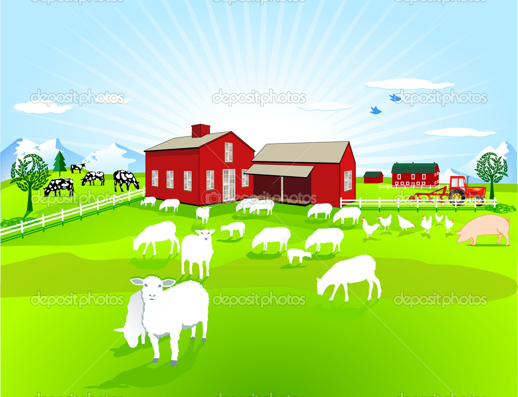 Cartoon Farm Field